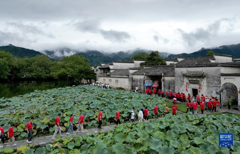 千炮打鲨鱼
